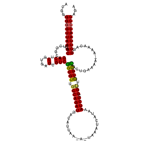 secondary structure