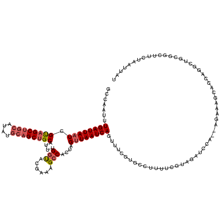 secondary structure
