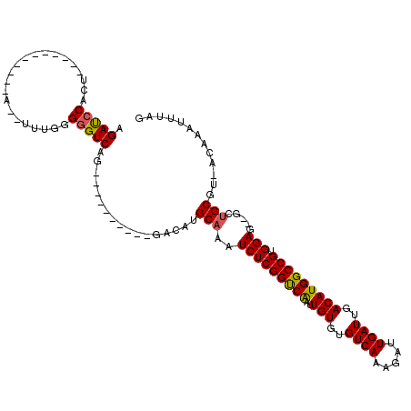 secondary structure