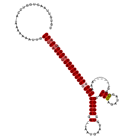 secondary structure