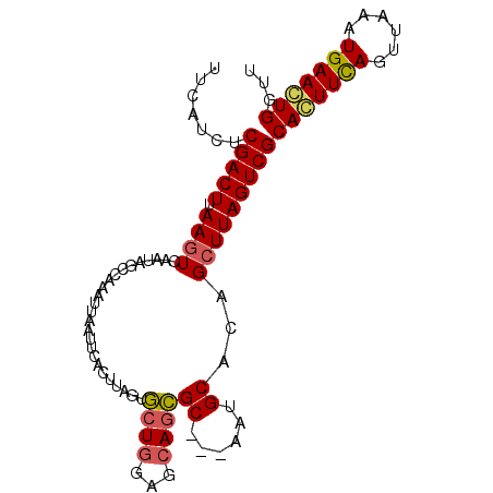 secondary structure