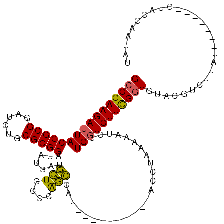 secondary structure