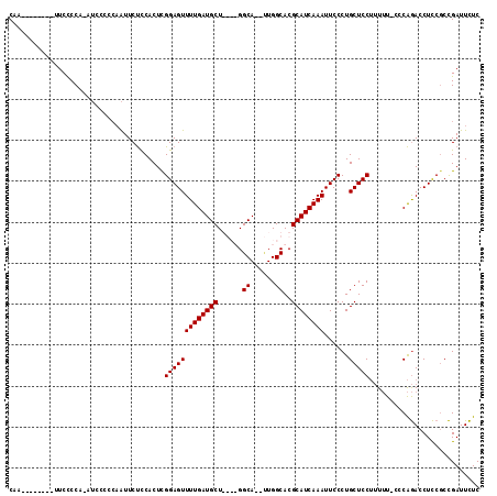 dotplot