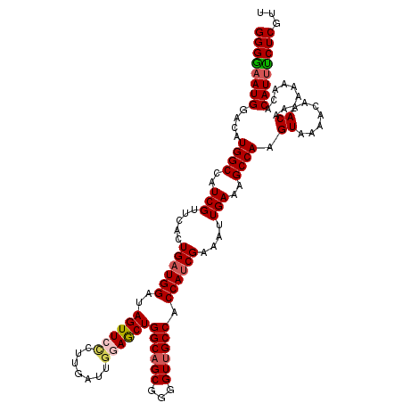 secondary structure