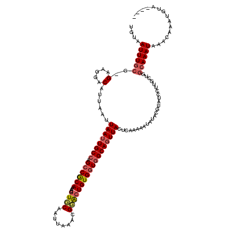 secondary structure