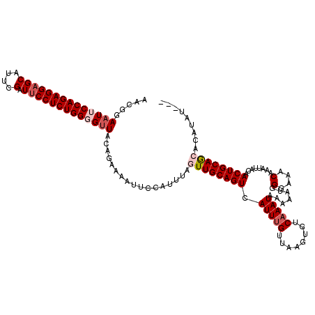 secondary structure