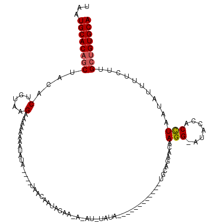 secondary structure