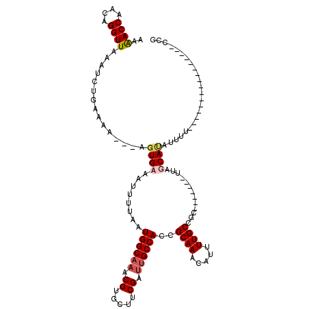 secondary structure