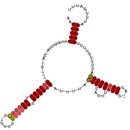 secondary structure