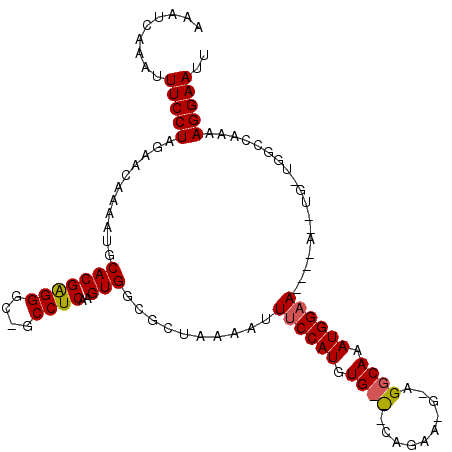 secondary structure