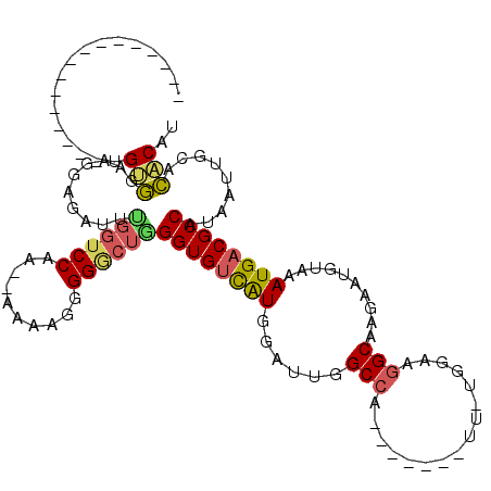secondary structure
