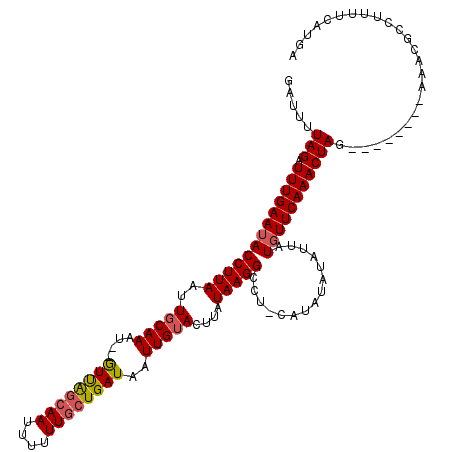 secondary structure