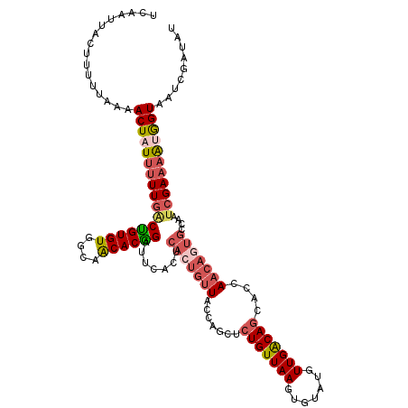 secondary structure