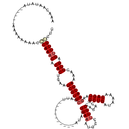 secondary structure