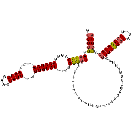 secondary structure