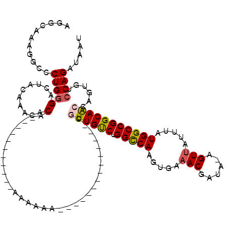 secondary structure