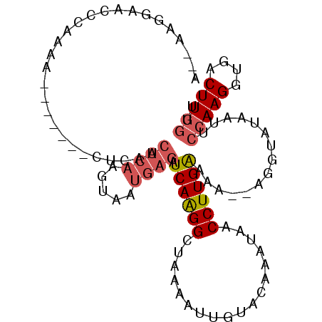 secondary structure