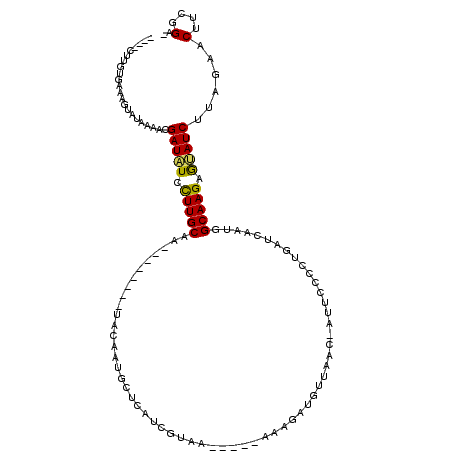 secondary structure