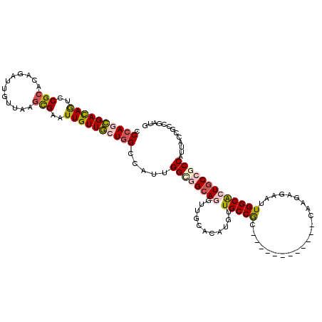 secondary structure