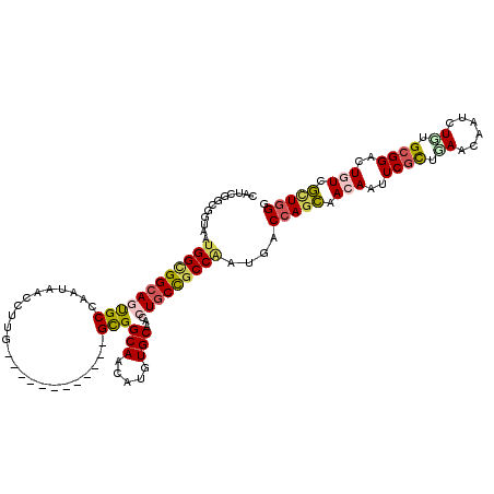 secondary structure