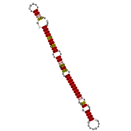 secondary structure
