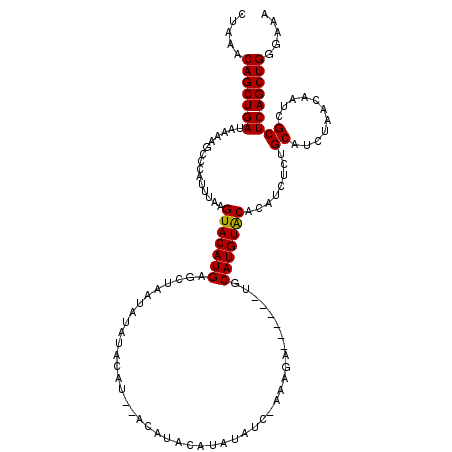 secondary structure