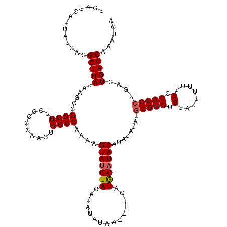 secondary structure