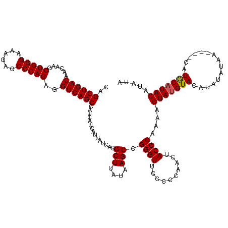 secondary structure