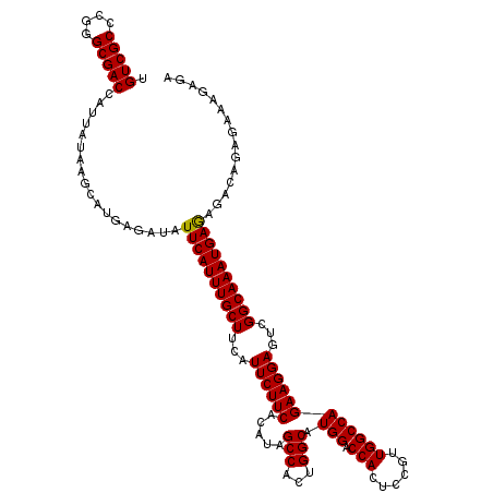 secondary structure