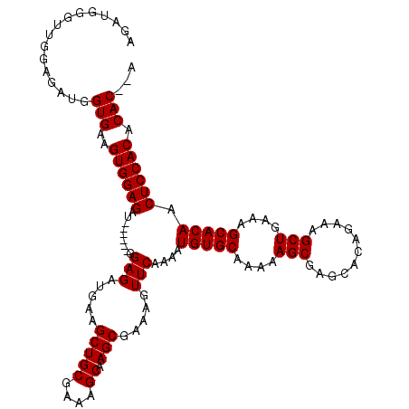 secondary structure