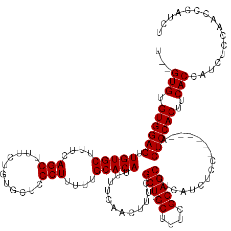secondary structure
