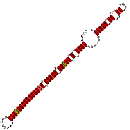 secondary structure