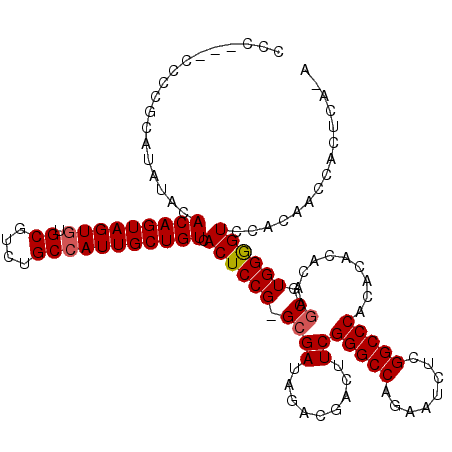 secondary structure