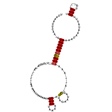 secondary structure