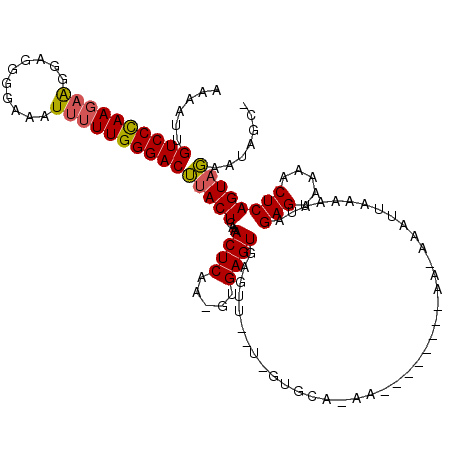 secondary structure