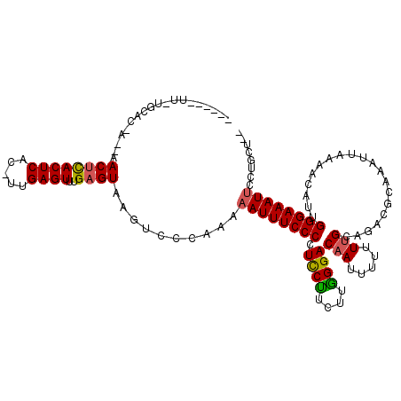 secondary structure