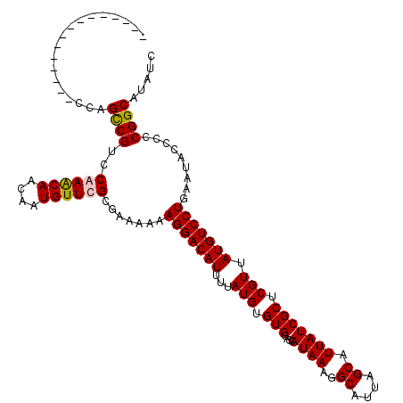 secondary structure