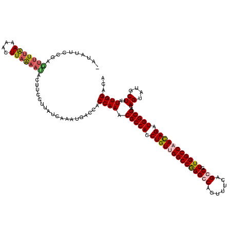 secondary structure