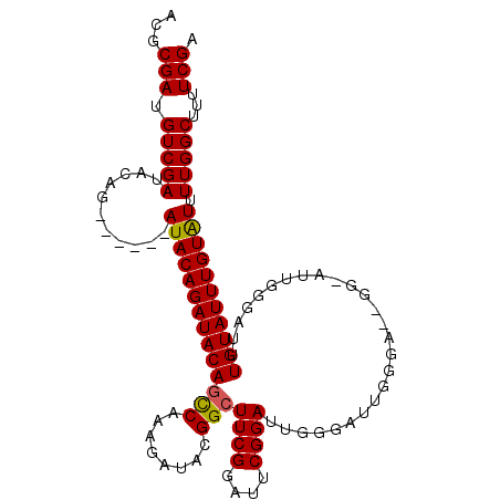 secondary structure