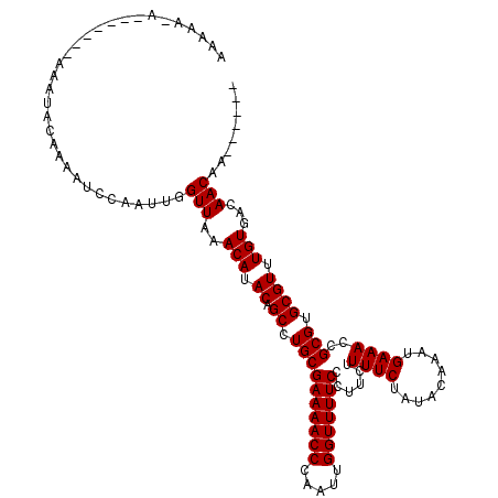 secondary structure