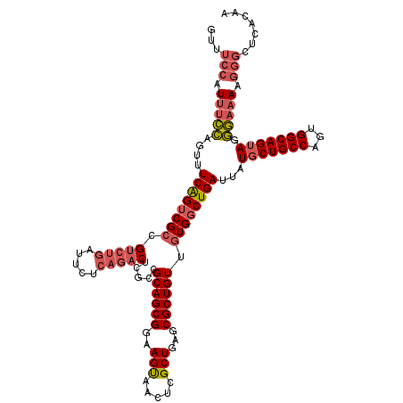 secondary structure