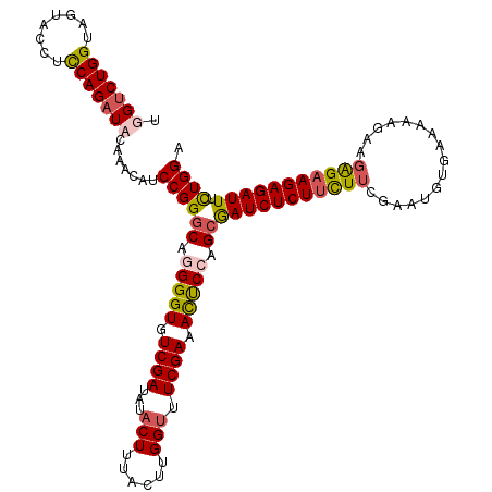 secondary structure