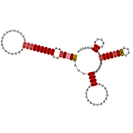 secondary structure