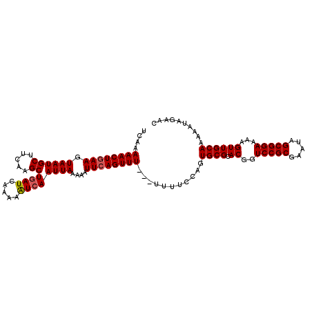 secondary structure