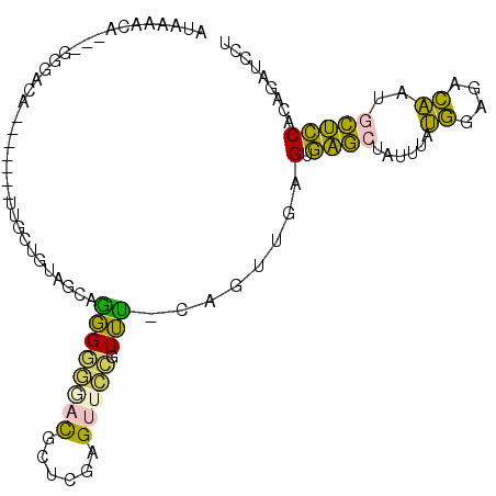 secondary structure