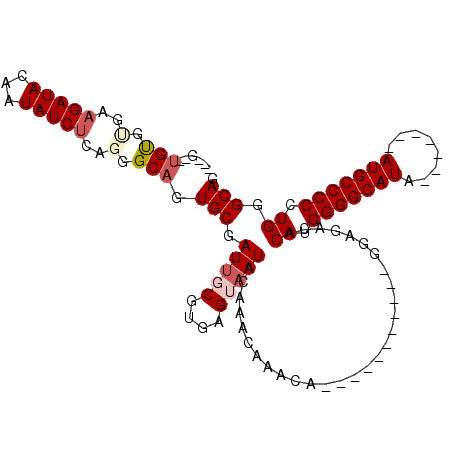 secondary structure