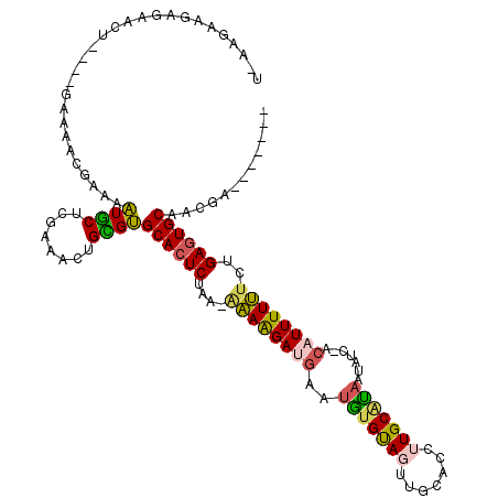 secondary structure
