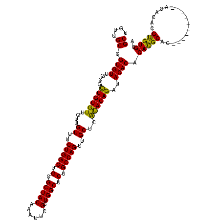 secondary structure