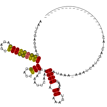secondary structure
