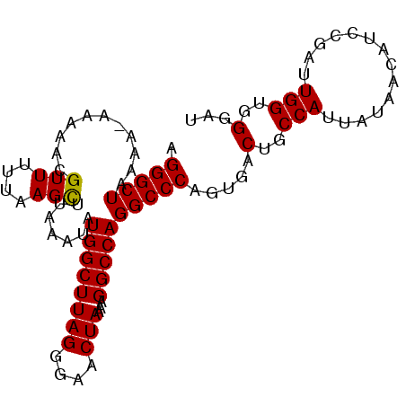 secondary structure